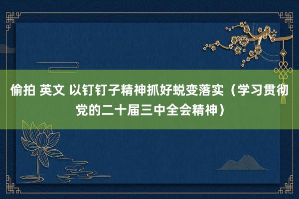 偷拍 英文 以钉钉子精神抓好蜕变落实（学习贯彻党的二十届三中全会精神）