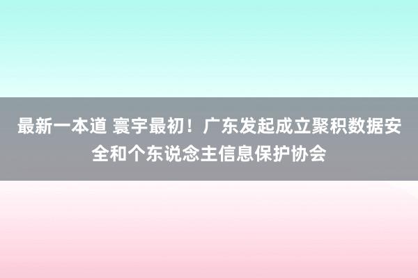 最新一本道 寰宇最初！广东发起成立聚积数据安全和个东说念主信息保护协会