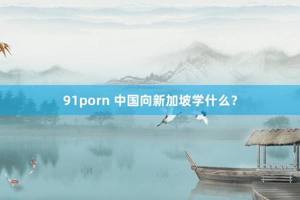 91porn 中国向新加坡学什么？