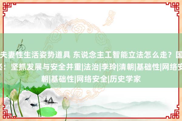 夫妻性生活姿势道具 东说念主工智能立法怎么走？国度网信办王崧：坚抓发展与安全并重|法治|李玲|清朝|基础性|网络安全|历史学家