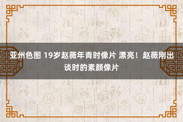 亚州色图 19岁赵薇年青时像片 漂亮！赵薇刚出谈时的素颜像片