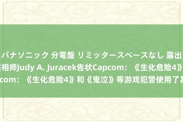 パナソニック 分電盤 リミッタースペースなし 露出・半埋込両用形 照相师Judy A. Juracek告状Capcom：《生化危险4》和《鬼泣》等游戏犯警使用了其纹理相片