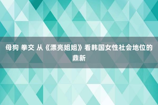 母狗 拳交 从《漂亮姐姐》看韩国女性社会地位的鼎新