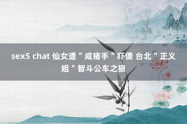 sex5 chat 仙女遭＂咸猪手＂吓傻 台北＂正义姐＂智斗公车之狼