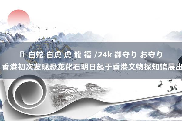 ✨白蛇 白虎 虎 龍 福 /24k 御守り お守り 香港初次发现恐龙化石明日起于香港文物探知馆展出