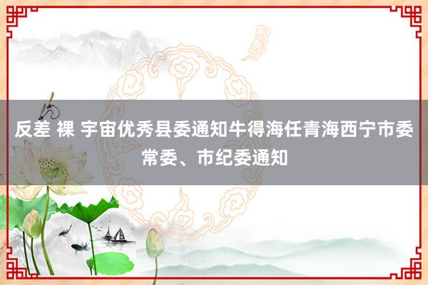 反差 裸 宇宙优秀县委通知牛得海任青海西宁市委常委、市纪委通知