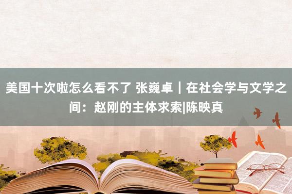 美国十次啦怎么看不了 张巍卓｜在社会学与文学之间：赵刚的主体求索|陈映真