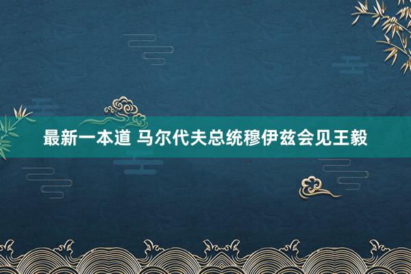 最新一本道 马尔代夫总统穆伊兹会见王毅