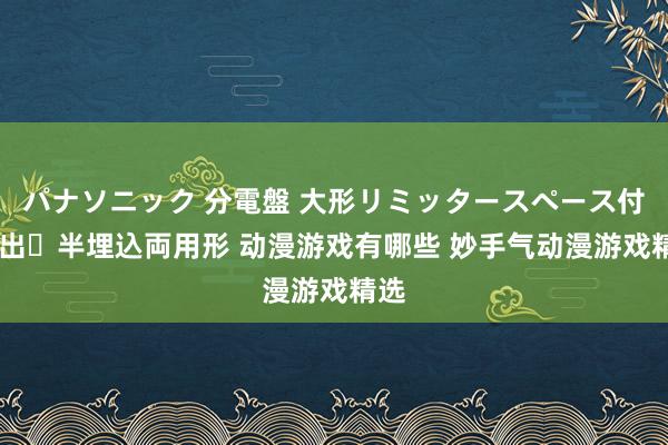 パナソニック 分電盤 大形リミッタースペース付 露出・半埋込両用形 动漫游戏有哪些 妙手气动漫游戏精选