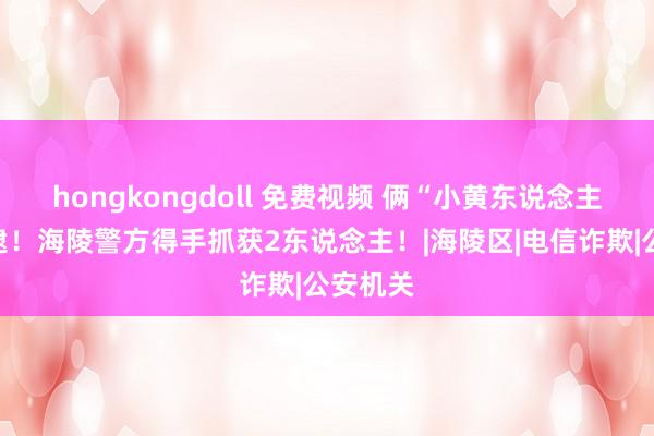 hongkongdoll 免费视频 俩“小黄东说念主”，就逮！海陵警方得手抓获2东说念主！|海陵区|电信诈欺|公安机关