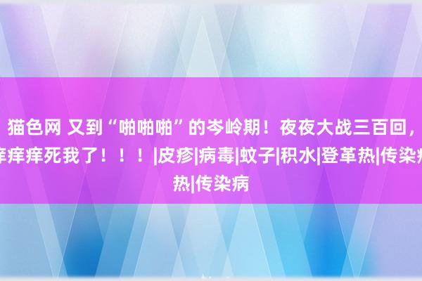 猫色网 又到“啪啪啪”的岑岭期！夜夜大战三百回，痒痒痒死我了！！！|皮疹|病毒|蚊子|积水|登革热|传染病