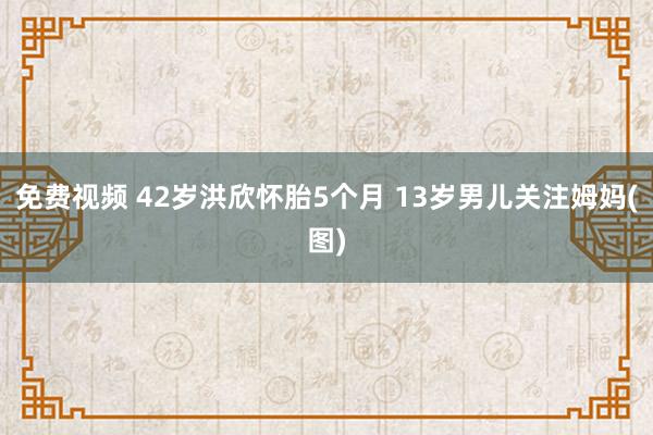 免费视频 42岁洪欣怀胎5个月 13岁男儿关注姆妈(图)